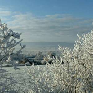Winterlandschaft mit verschneiten Bäumen