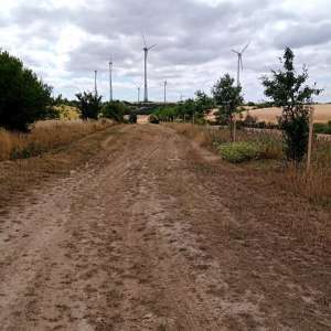 Radweg vor Sanierung, Feldweg