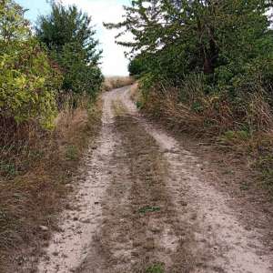 Radweg vor Sanierung, Feldweg zwischen Sträuchern