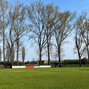 Sportplatz mit Bäumen im Hintergrund